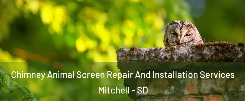  Chimney Animal Screen Repair And Installation Services Mitchell - SD