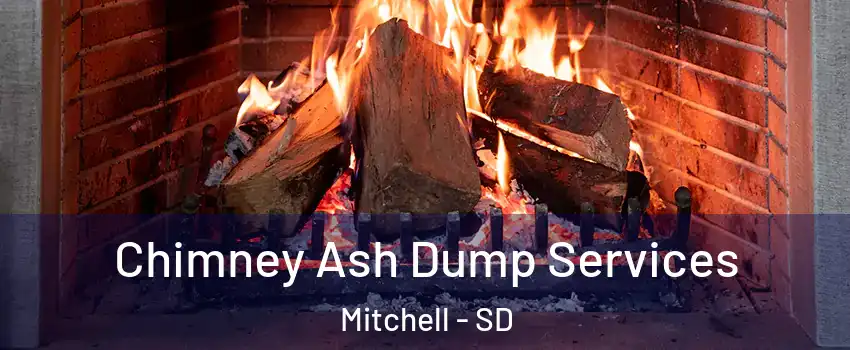  Chimney Ash Dump Services Mitchell - SD