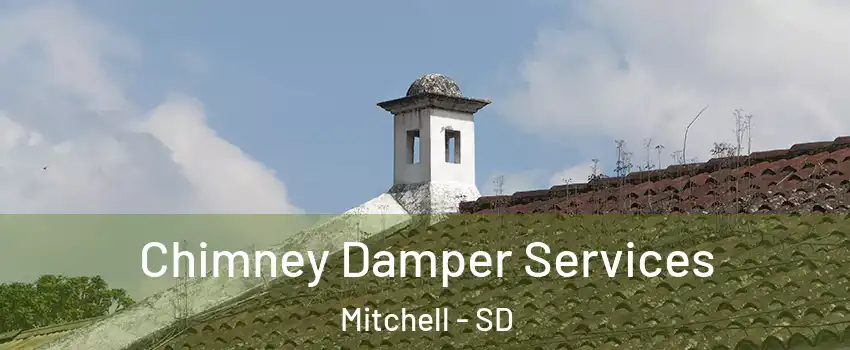  Chimney Damper Services Mitchell - SD