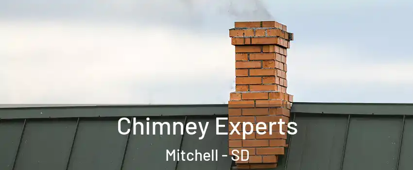  Chimney Experts Mitchell - SD