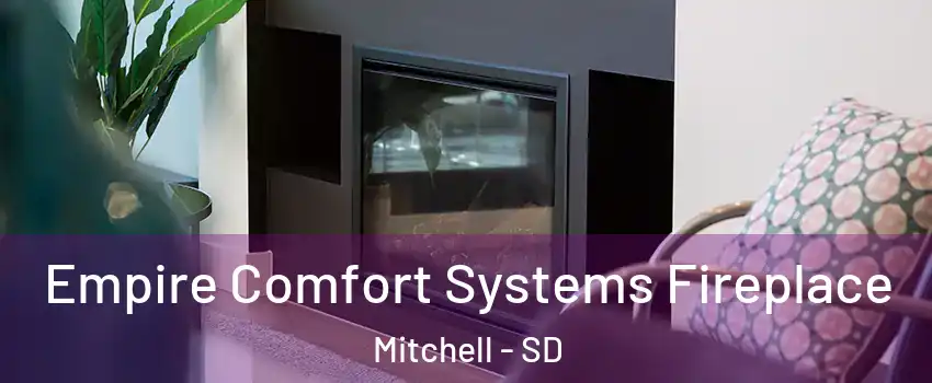  Empire Comfort Systems Fireplace Mitchell - SD