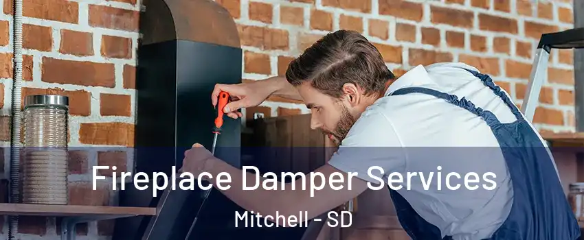  Fireplace Damper Services Mitchell - SD