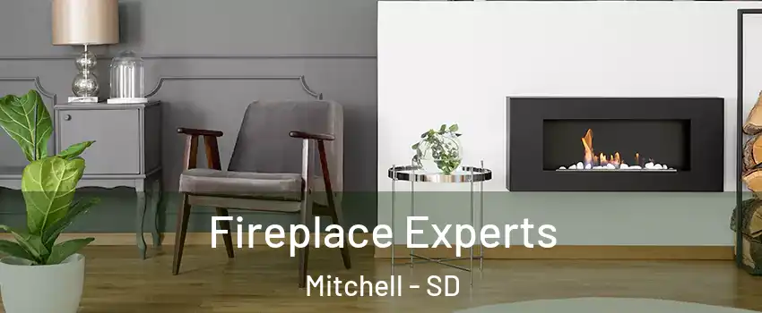  Fireplace Experts Mitchell - SD