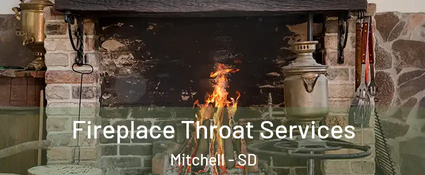  Fireplace Throat Services Mitchell - SD