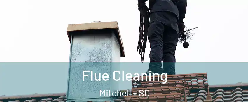  Flue Cleaning Mitchell - SD