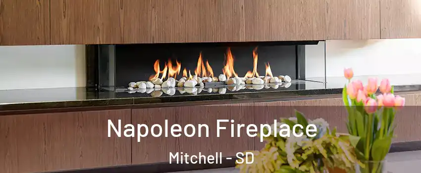  Napoleon Fireplace Mitchell - SD