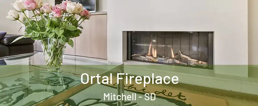  Ortal Fireplace Mitchell - SD