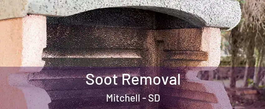  Soot Removal Mitchell - SD